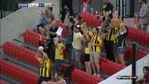 Adelaide United vs. Wellington Phoenix 0-1 Goal K. Cunningham A-League - 31.12.2014