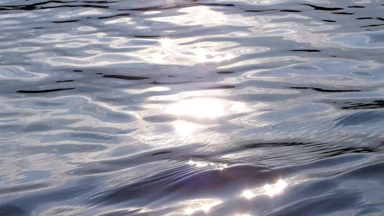 Terminator - humans(R)demons - (1) Die Gesellschaft zum Wegwerfen