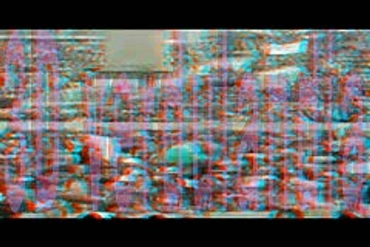 Appello del Papa per il lavoro in Italia non abbandonare gli operai agli effetti della crisi