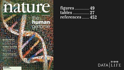 Why Data Visualizations Are Good For Discoveries