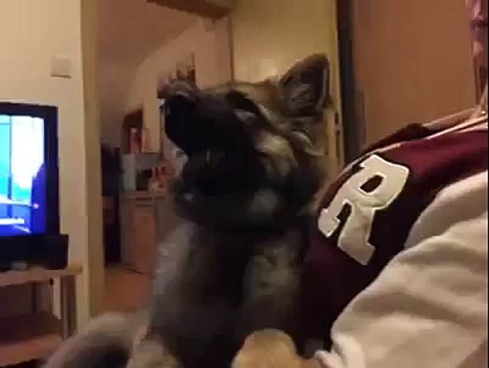 VID-20141229-WA0002.mp4