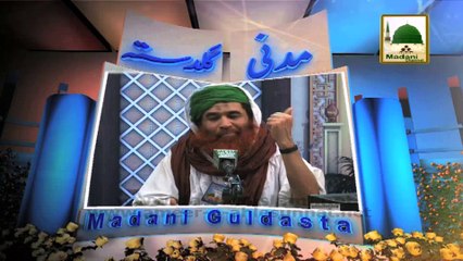 Madani Guldasta 95 - Zikr Kia Hai - Maulana Ilyas Qadri