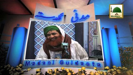 Madani Guldasta 171 - Imam Awam Ki Kia Samhjaie - Maulana Ilyas Qadri