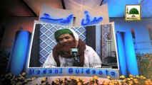 Madani Guldasta 251 - Raghbat e Madina Kesay Hui - Maulana Ilyas Qadri