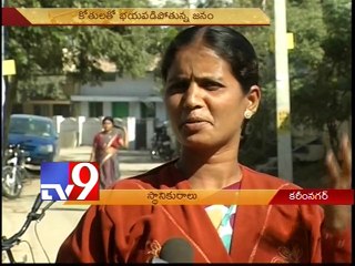 Monkey trouble in Karimnagar!