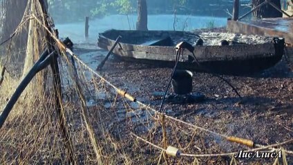 Дмитрий  Василевский - Сука-разлука