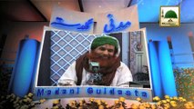 Madani Guldasta 321 - Sunnat e Badia Ki Sunnatain - Maulana Ilyas Qadri