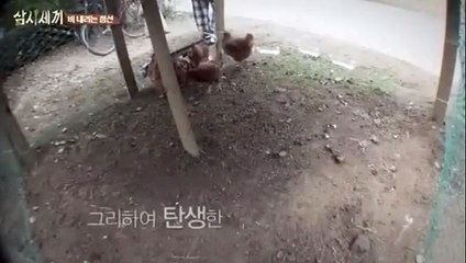 ­­카­지­노­게­임­하­는­법­▶Ｒ­Ａ­Ｔ­１００,ＣＯＴ ◀­카­지­노­게­임­하­는­법­*●▨♤