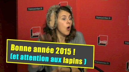 Bonne année 2015  (et attention aux lapins)