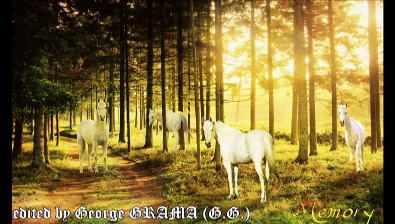 Elton John & Luciano Pavarotti - Live Like Horses  mpg