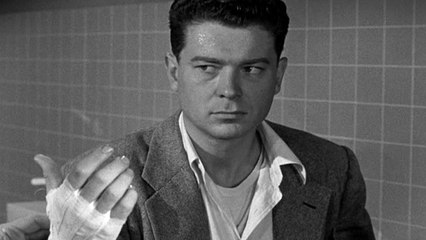 HOMENAJES A ARTHUR FRANZ