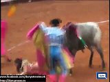 Mexican female bullfighter injured by bull - Video Dailymotion
