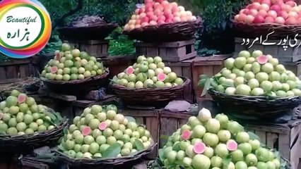 NEW HINDKO SONG AZEEM AWAN