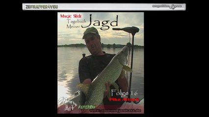 Tagebuch Meiner Jagd Teil 16 Berthold Pike Attack