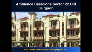 CaLL96500I9588 Ambience Creacions Sector 22 Gurgaon