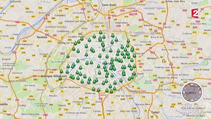 Attention à l'endroit où vous déposez vos sapins