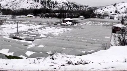 Şalvarlı Belediye Başkanı Akgün'den Sera Çiftçisine Destek