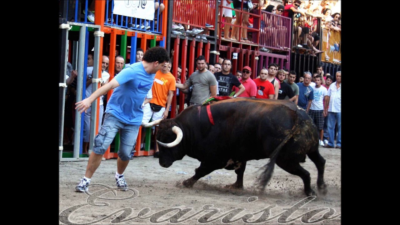 Toro de Lledia en Betxi