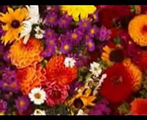 Piar Wathee Toon Piar Ddaee Wajj.