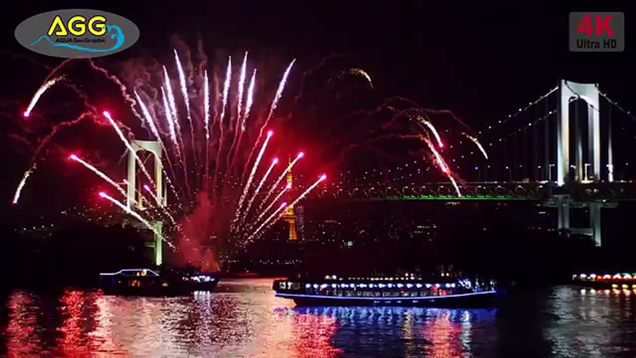 Magnifiques feux d'artifice à Tokyo pour le nou...