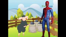 Spiderman Cartoon Baa Baa Black Sheep Nursery Rhyme | Spiderman 3D Animated Children Nursery Rhymes
