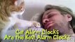 Cats Are The Best Alarm Clocks (Video @ Hamariweb.com)_mpeg4