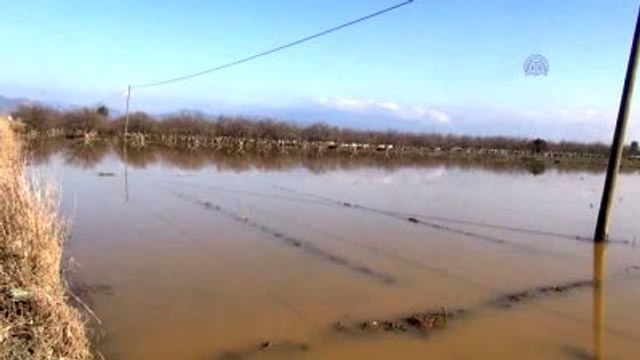 Büyük Menderes Nehri'ndeki Su Taşkını