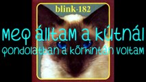 blink-182 – Carousel/Kőrhinta magyar felirattal