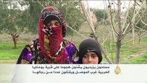 إيزيديون يشنون هجوما على قرية بوحنايا العربية