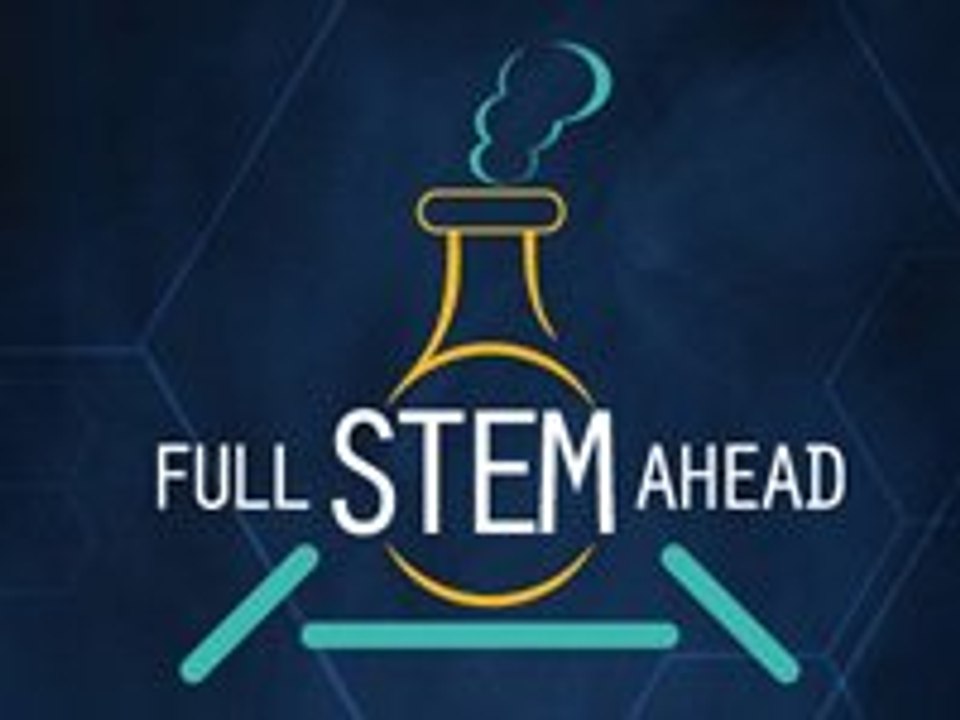 STEAM Instead of STEM: Equal Emphasis on Arts
