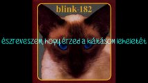 blink-182 – Romeo and Rebecca/Rómeó és Rebekamagyar felirattal