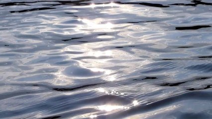 Klosterfrau - humans(R)demons - (5) Die Gesellschaft zum Wegwerfen