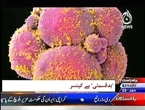 Bbc Urdu Sairbeen On Aaj News – 2nd January 2015