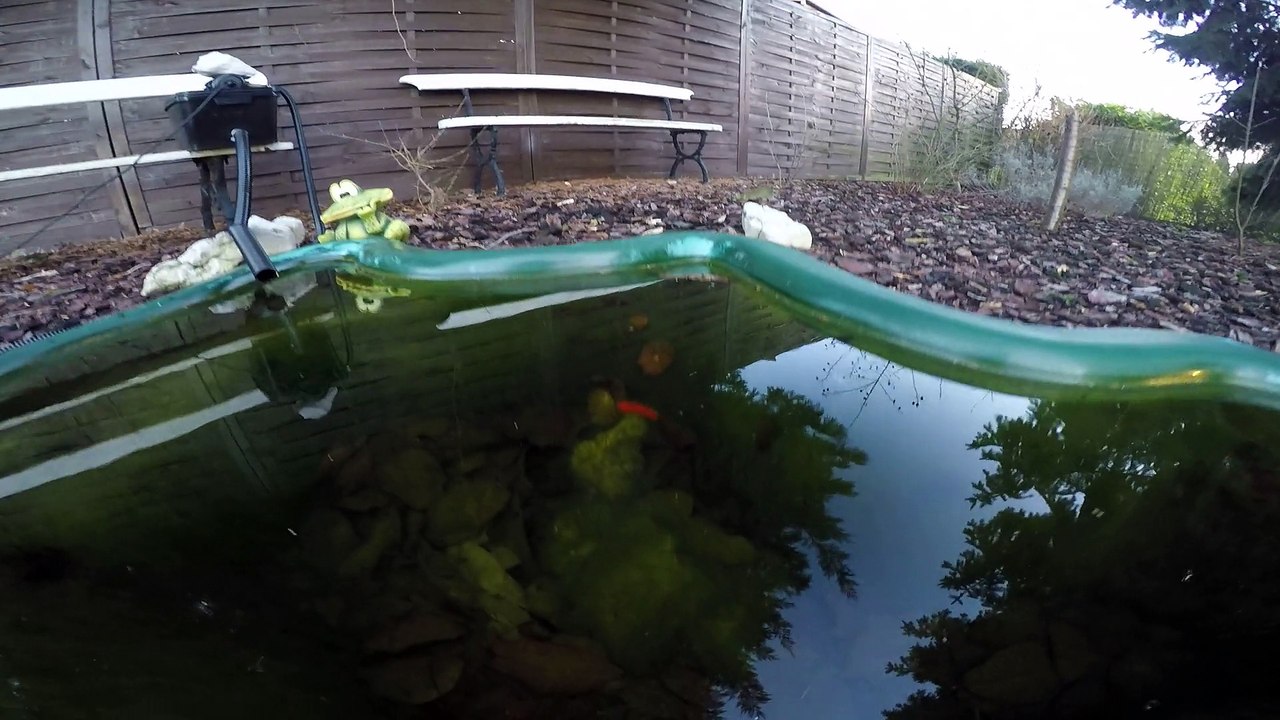 Go Pro en immersion