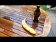 Comment ouvrir une bière avec une banane