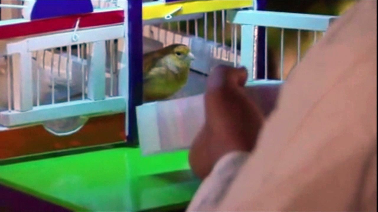 MYMD - Su Historia 89 -