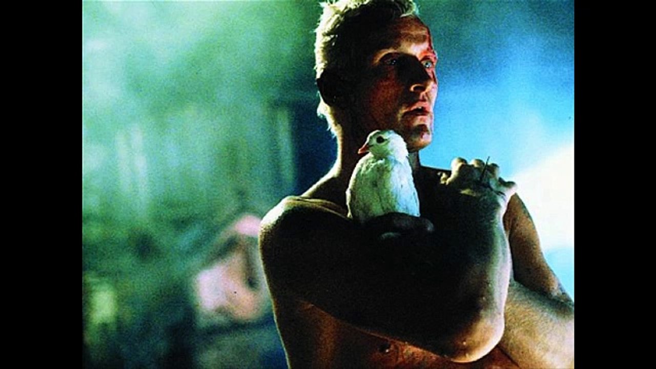 Slave to Your DNA? Rationality Will Set You Free