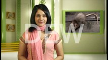 Nazneen - Get Rid of Mice from House - Home Remedies