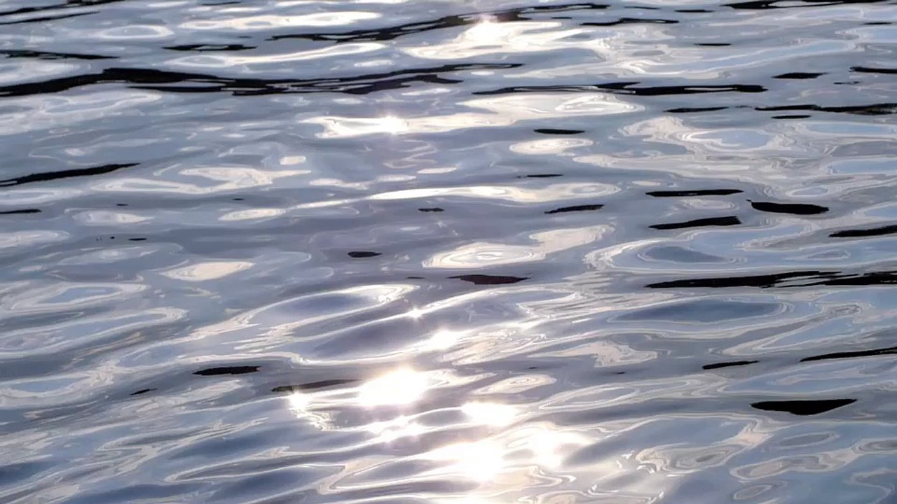 Grössenwahn - humans(R)demons - (7) Die Gesellschaft zum Wegwerfen