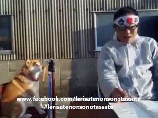 Un'ottima alternativa alla pillola anti-sonno.