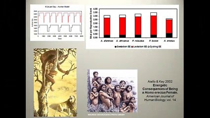 High Human Birth Rate Led to Cooperation