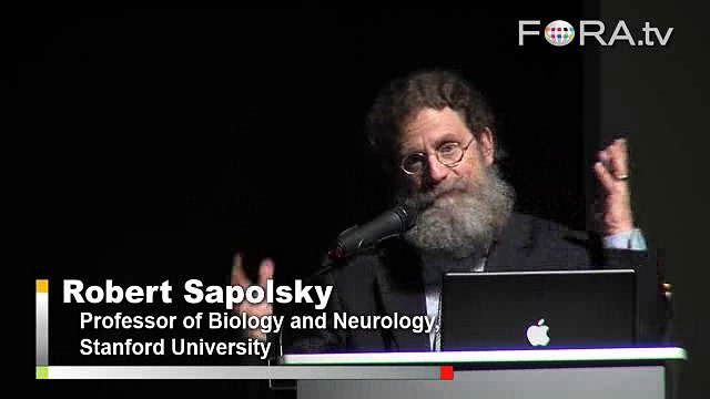 A Dog's Love: How Man's Best Friend Evolved to Empathize