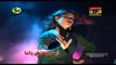 Dil Tere Nawe Hot Song With Mujra Komal Noor New Sariki Songs HD 2014