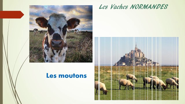 Petites vues de la Manche (50) Cotentin Normandie France