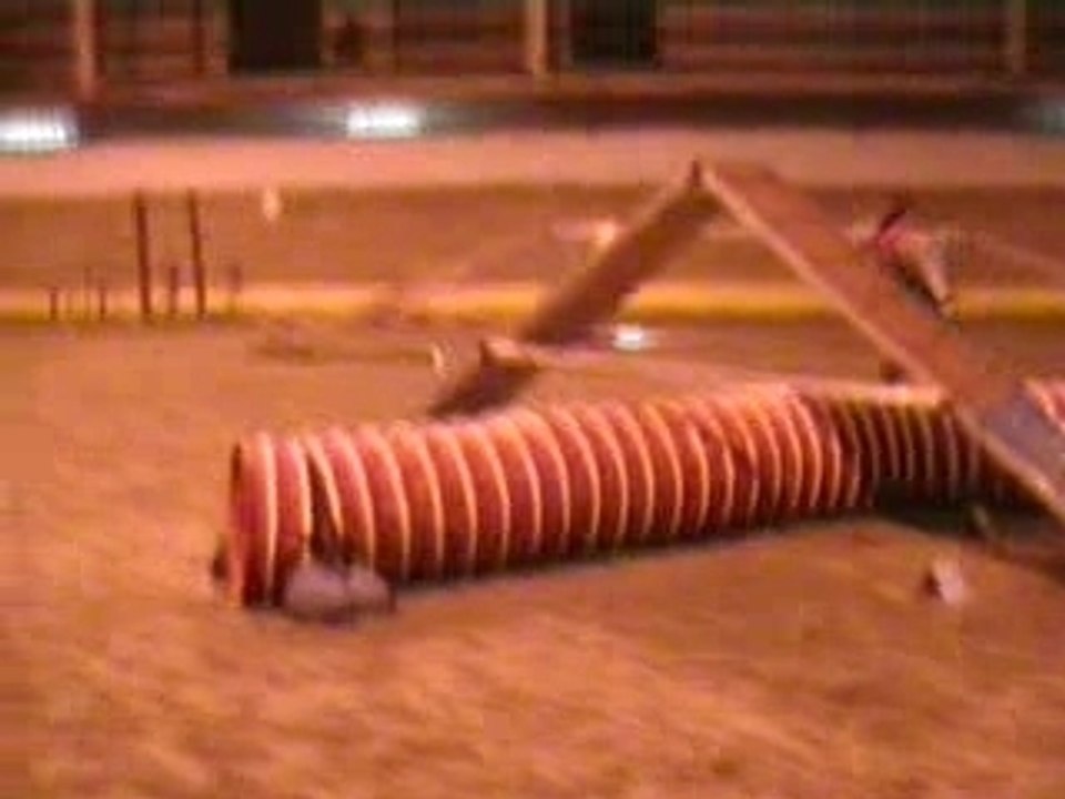 Widee aglity 30.02.07 mamy