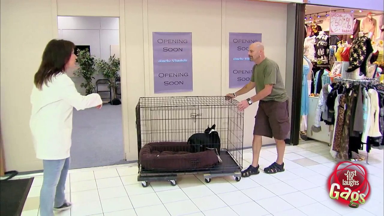 Cute Dog In Shrinking Door Prank