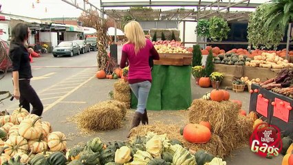Cute Little Chihuahua Puppy Is Crushed!