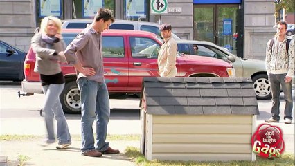 Cute Puppies Galore!