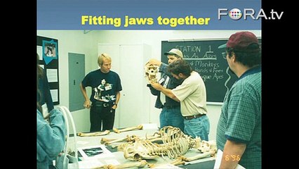 The Making of Tarzan: Where Science and Art Collide