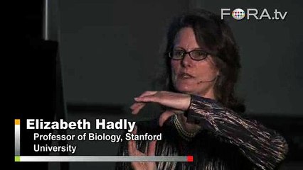 Megafaunal Extinction: Did Humans Overhunt the Mammoths?